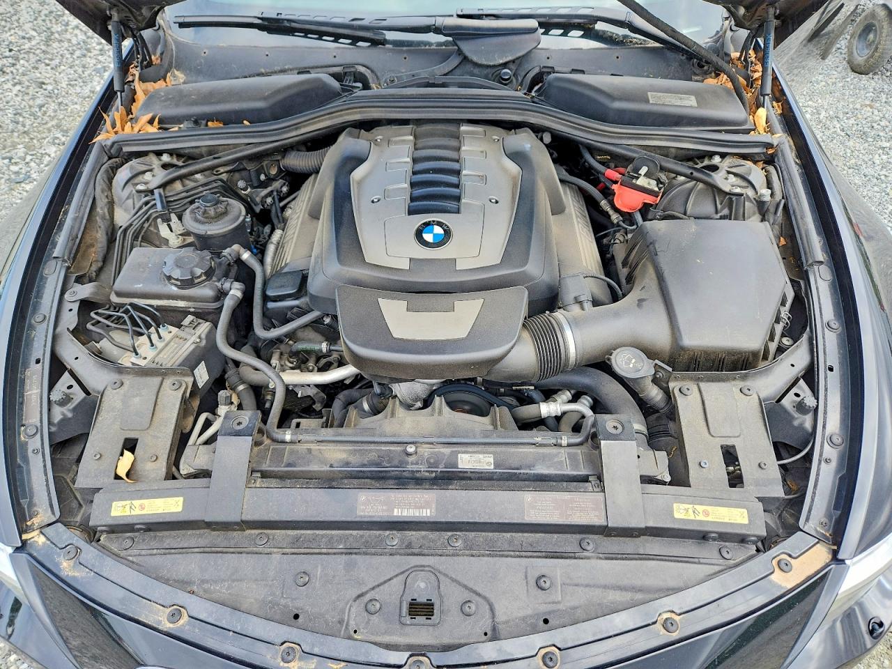 2010 BMW 650 I photo 11
