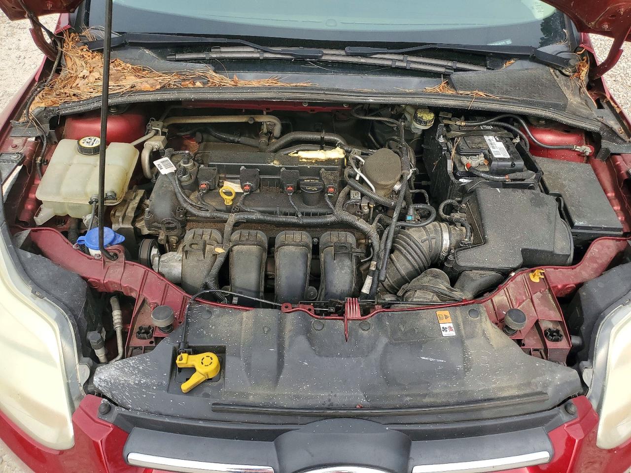 2014 FORD FOCUS SE photo 11