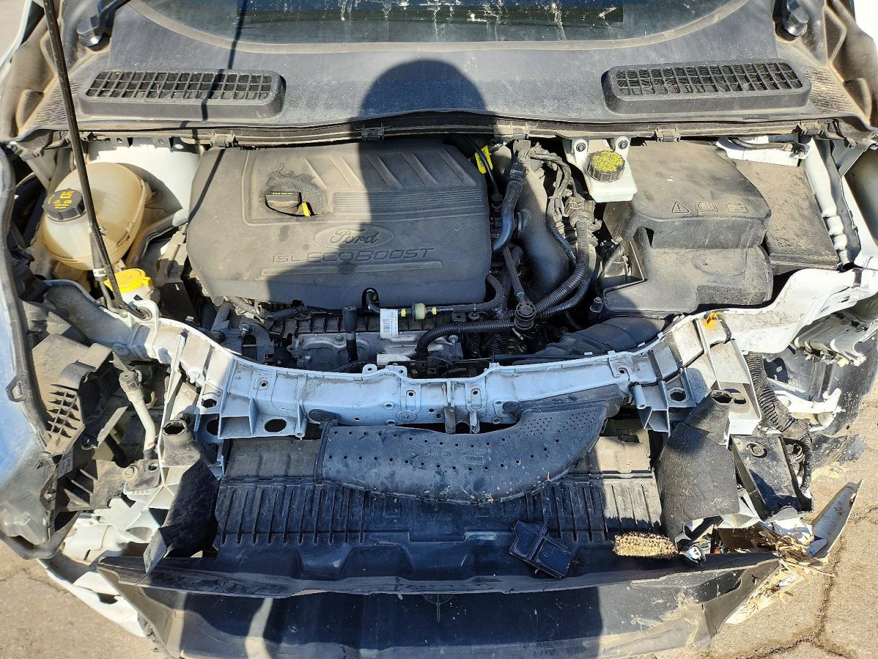 2017 FORD ESCAPE SE photo 12