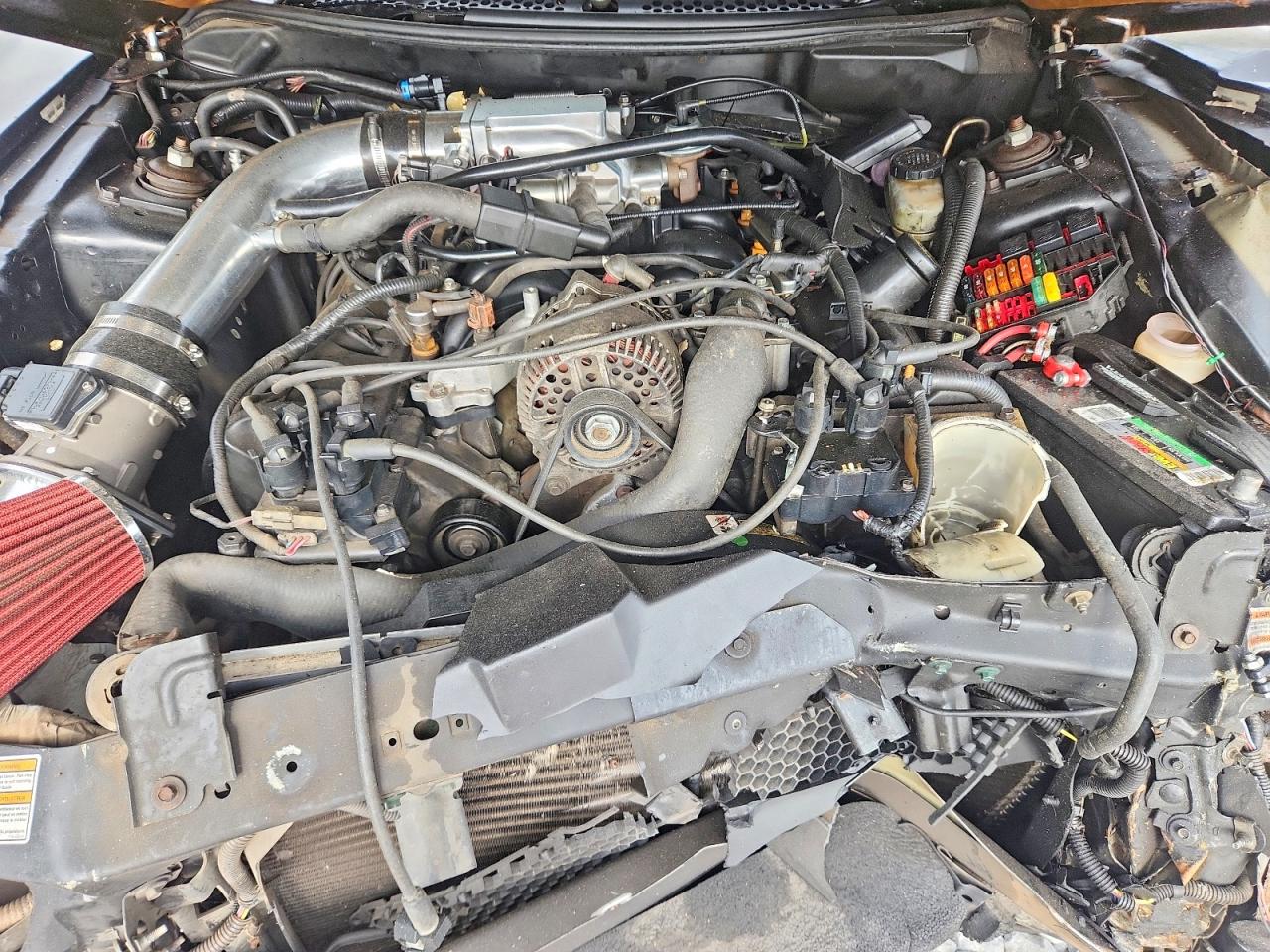 1998 FORD MUSTANG GT photo 21
