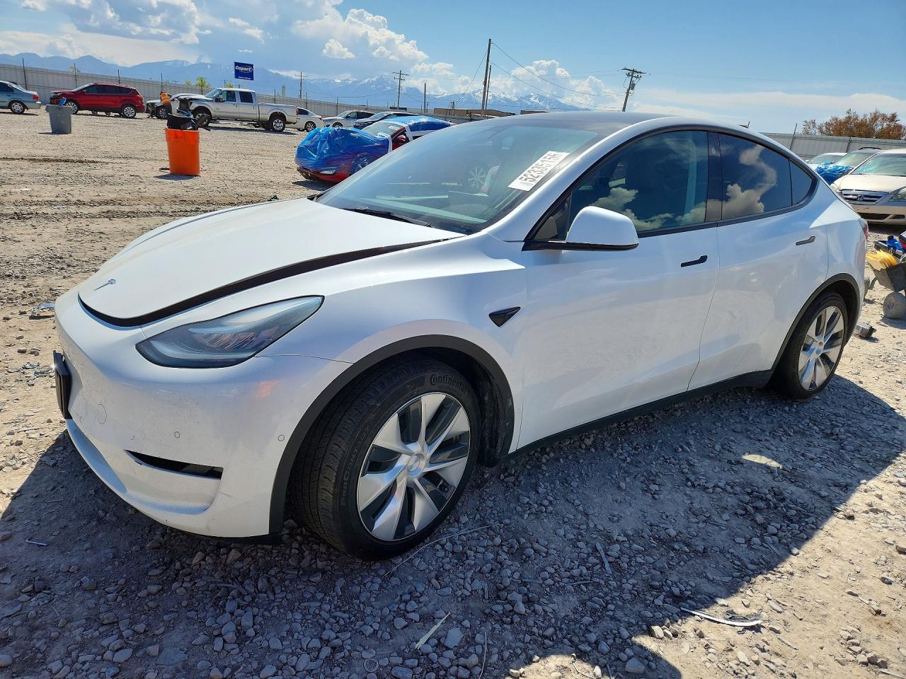 2021 TESLA MODEL Y