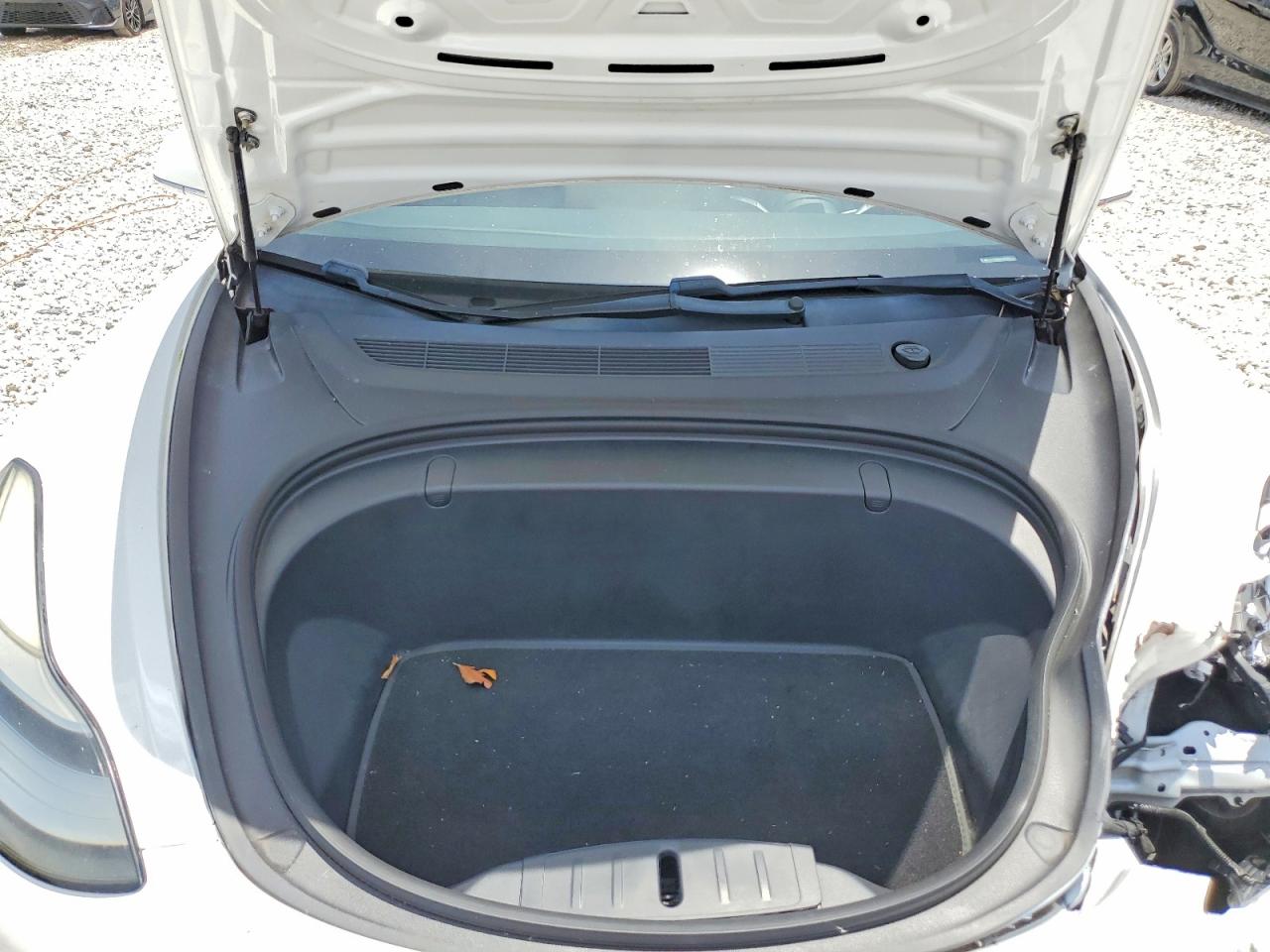 2019 TESLA MODEL 3 photo 11