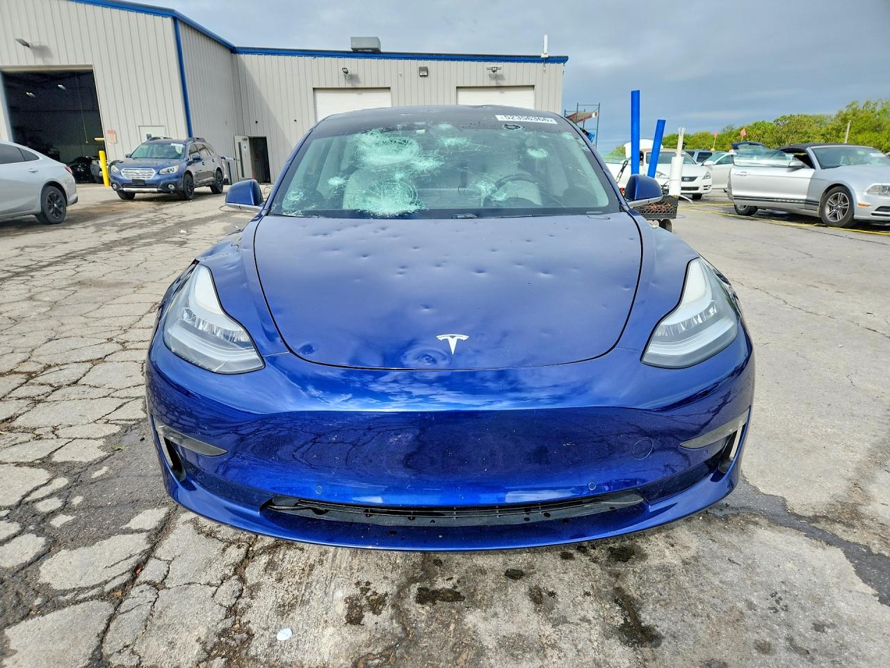 2019 TESLA MODEL 3 photo 13