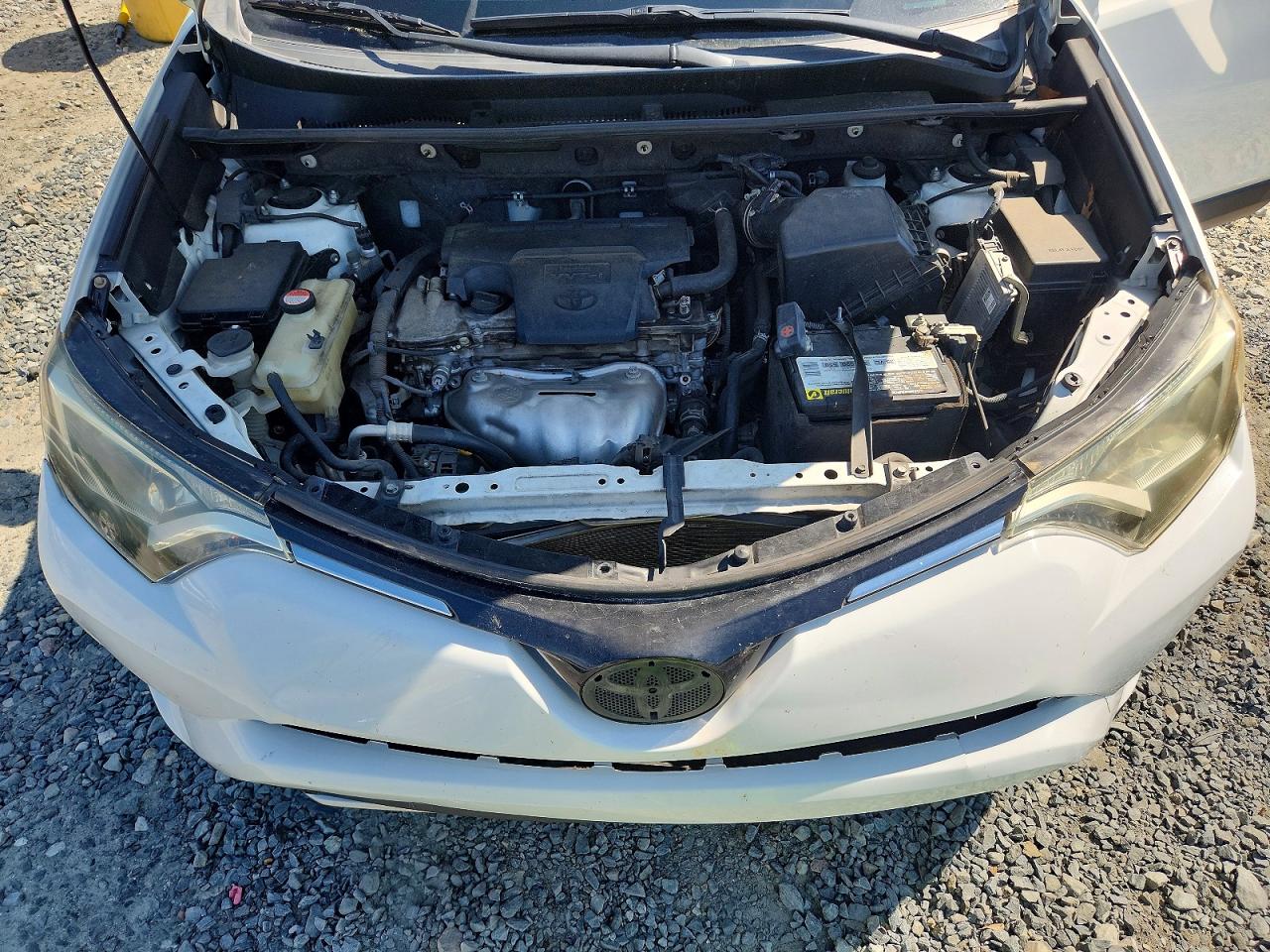 2016 TOYOTA RAV4 XLE photo 12