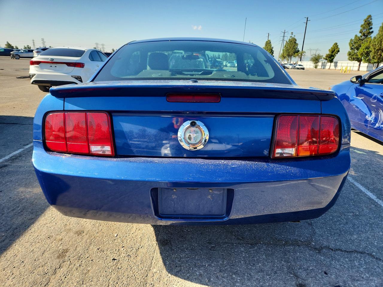 2007 FORD MUSTANG photo 6