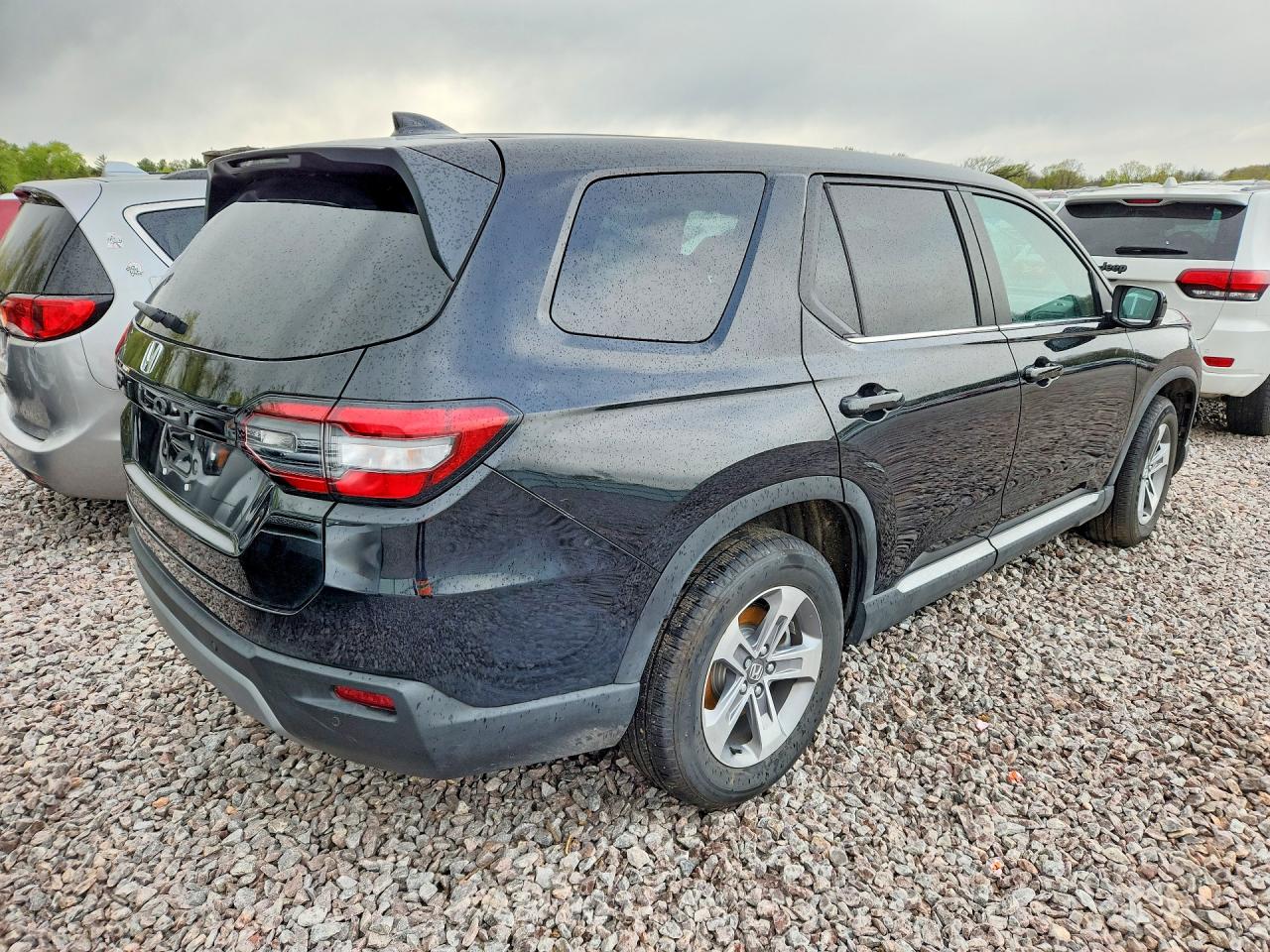 2025 HONDA PILOT EXL photo 5