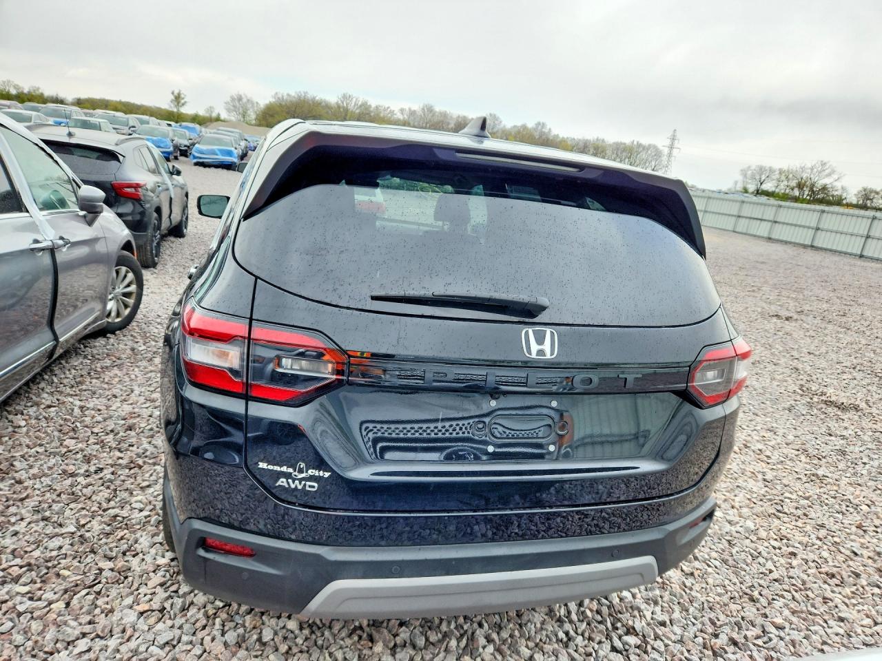 2025 HONDA PILOT EXL photo 11