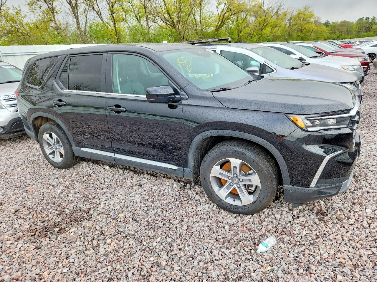 2025 HONDA PILOT EXL photo 7