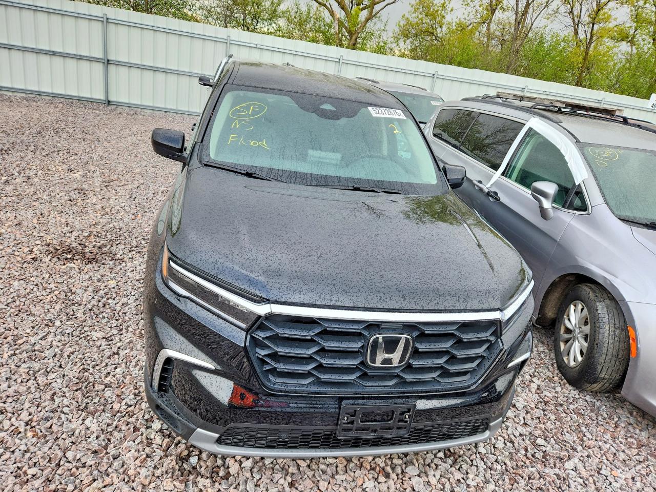 2025 HONDA PILOT EXL photo 9