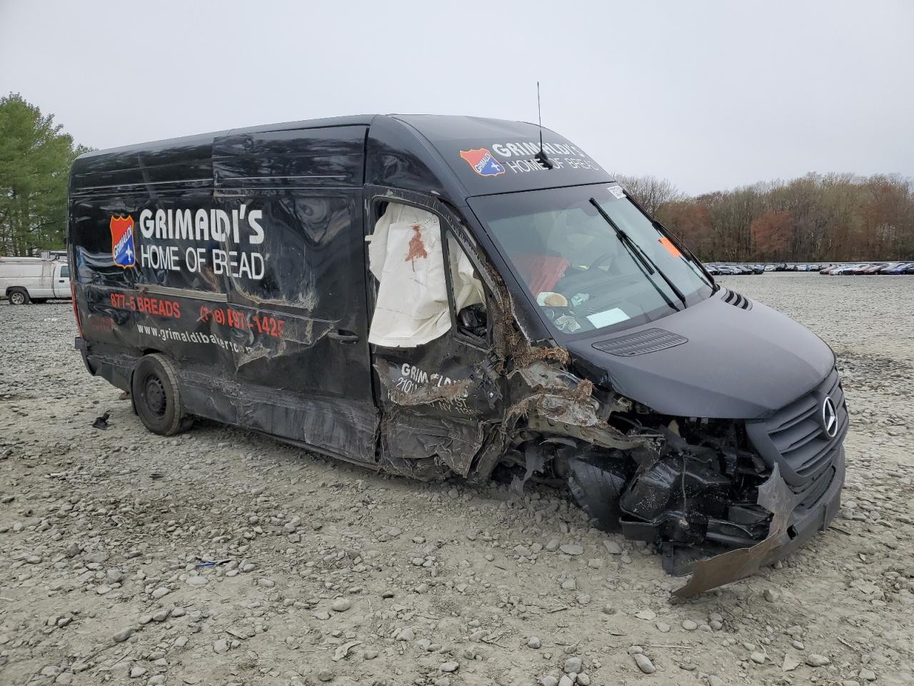 2024 MERCEDES-BENZ SPRINTER 2500 photo 10