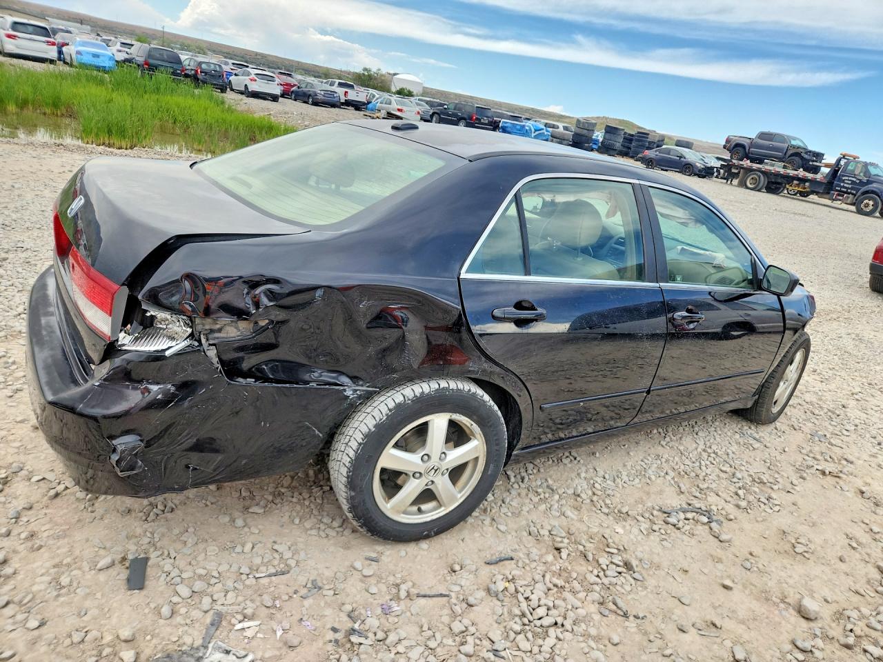 2004 HONDA ACCORD EX photo 5