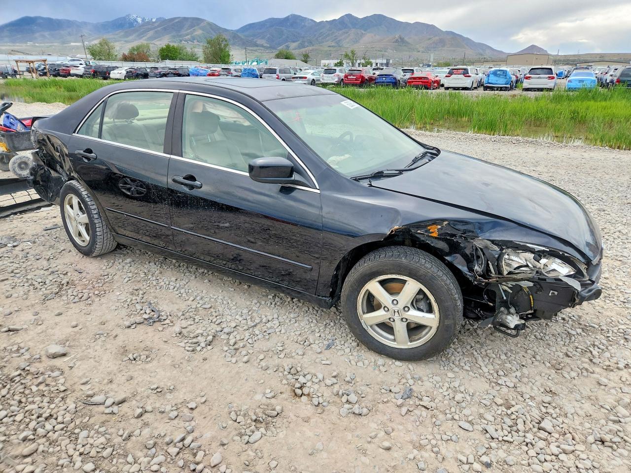 2004 HONDA ACCORD EX photo 7