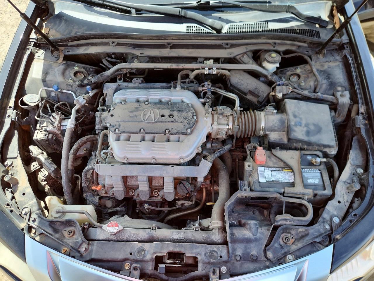 2011 ACURA TL photo 11