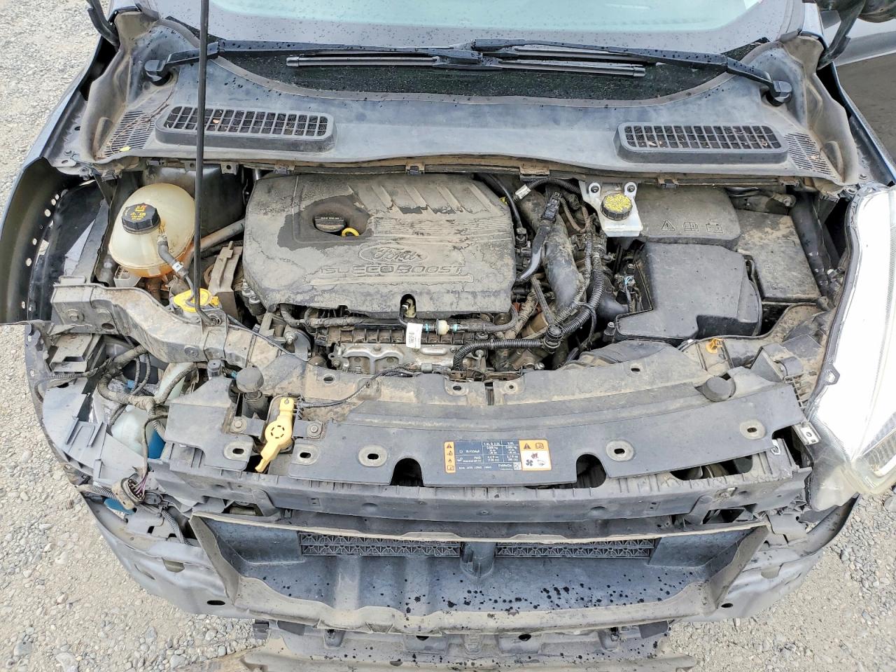 2018 FORD ESCAPE SEL photo 23