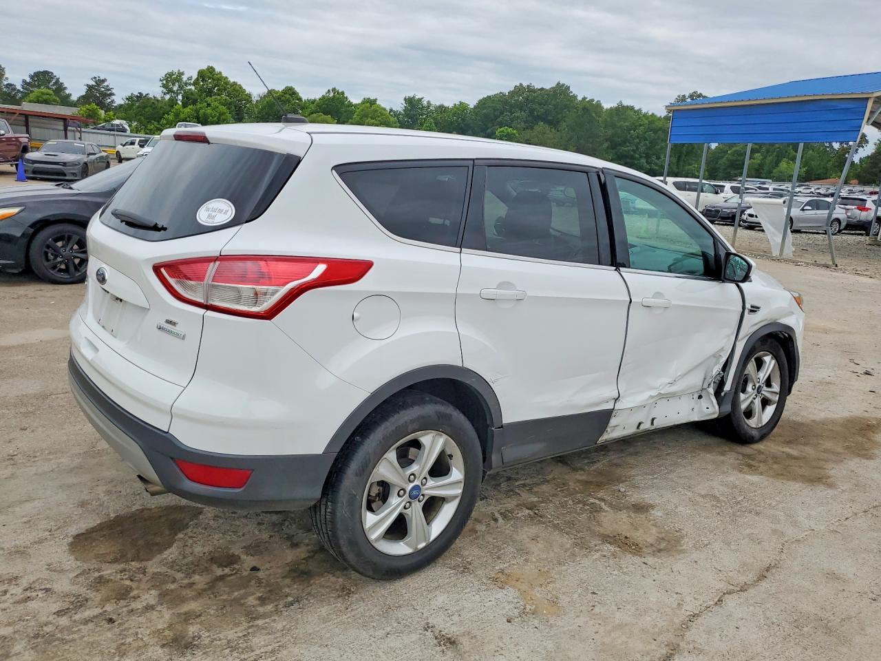 2014 FORD ESCAPE SE photo 5