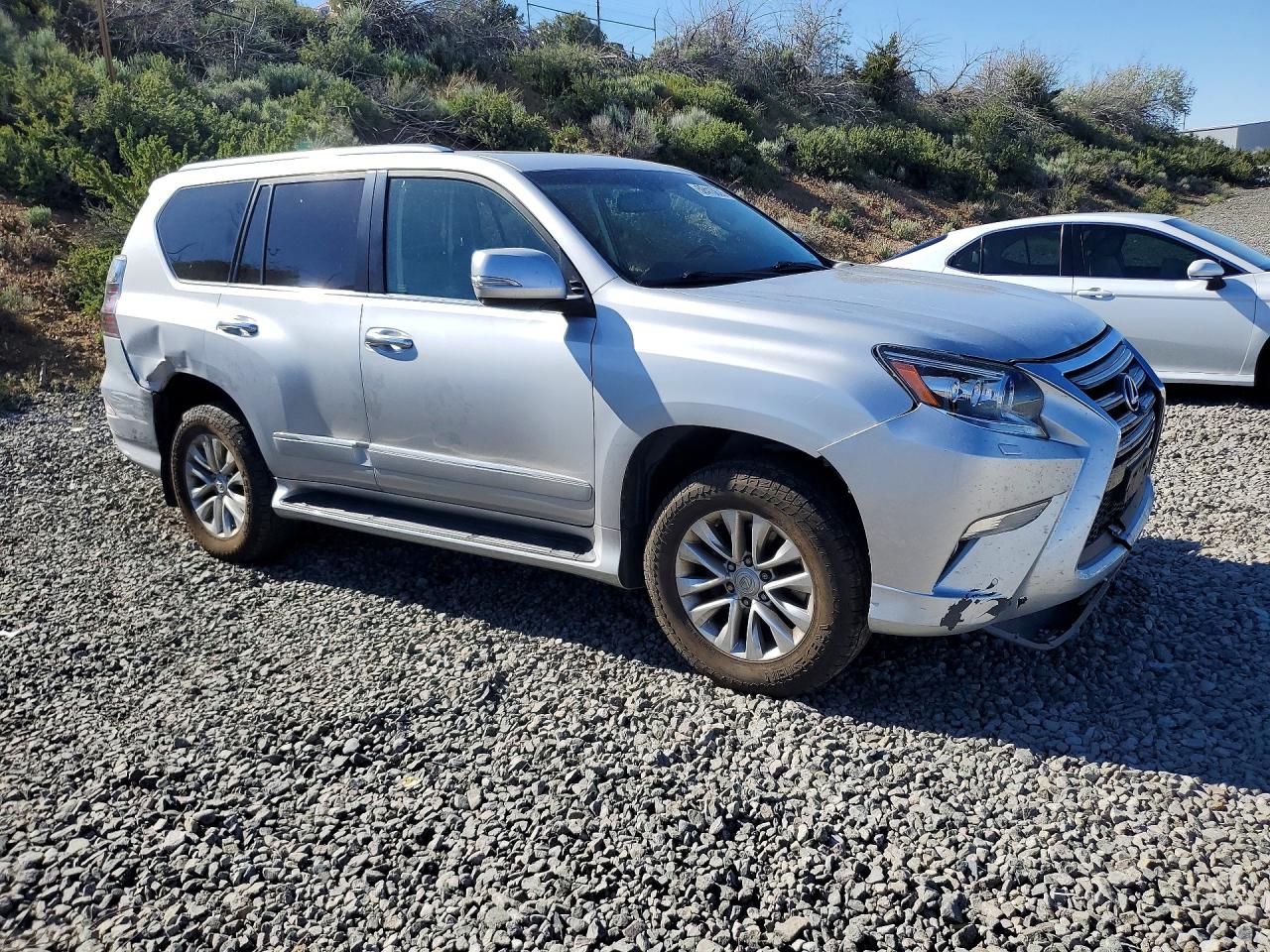 2019 LEXUS GX 460 photo 10