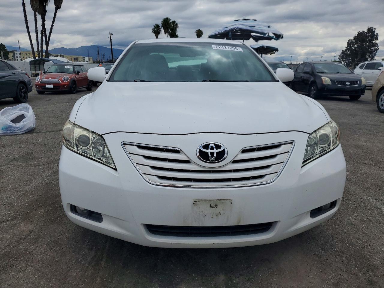 2009 TOYOTA CAMRY XLE photo 9