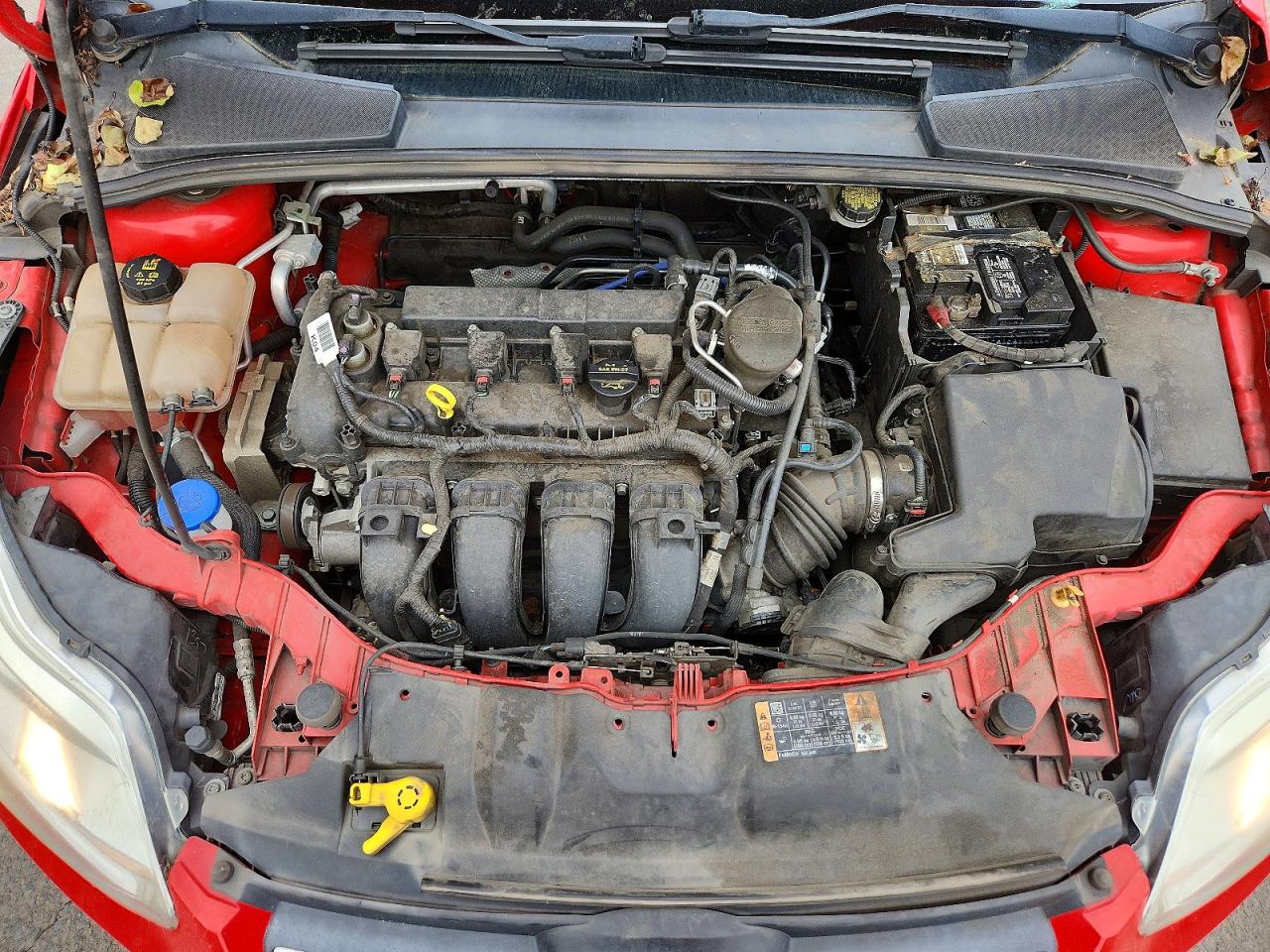 2014 FORD FOCUS SE photo 31