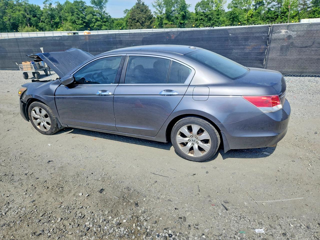 2009 HONDA ACCORD EXL photo 3