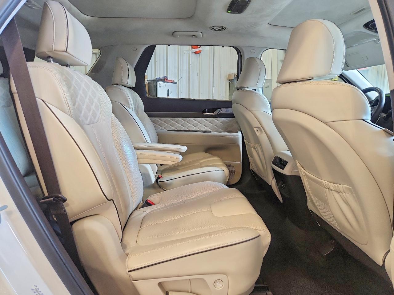 2020 HYUNDAI PALISADE LIMITED photo 28