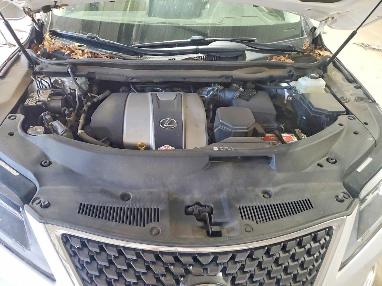 2020 LEXUS RX 350 L photo 12