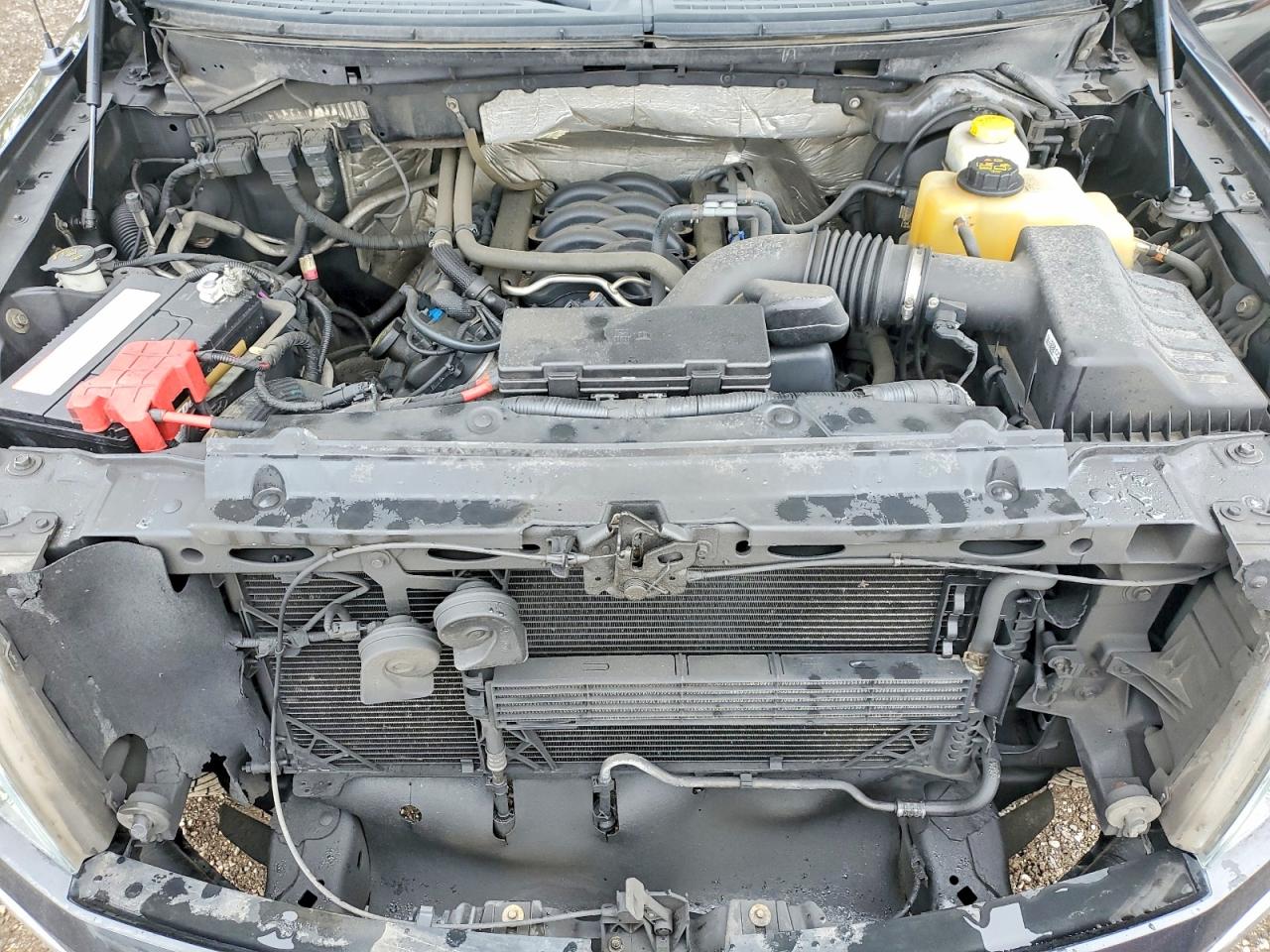 2014 FORD F150 SUPERCREW photo 21