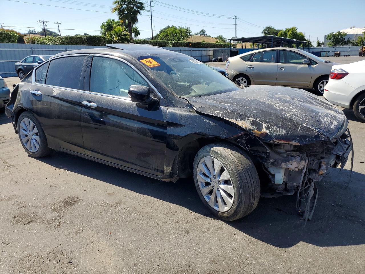 2013 HONDA ACCORD EXL photo 7