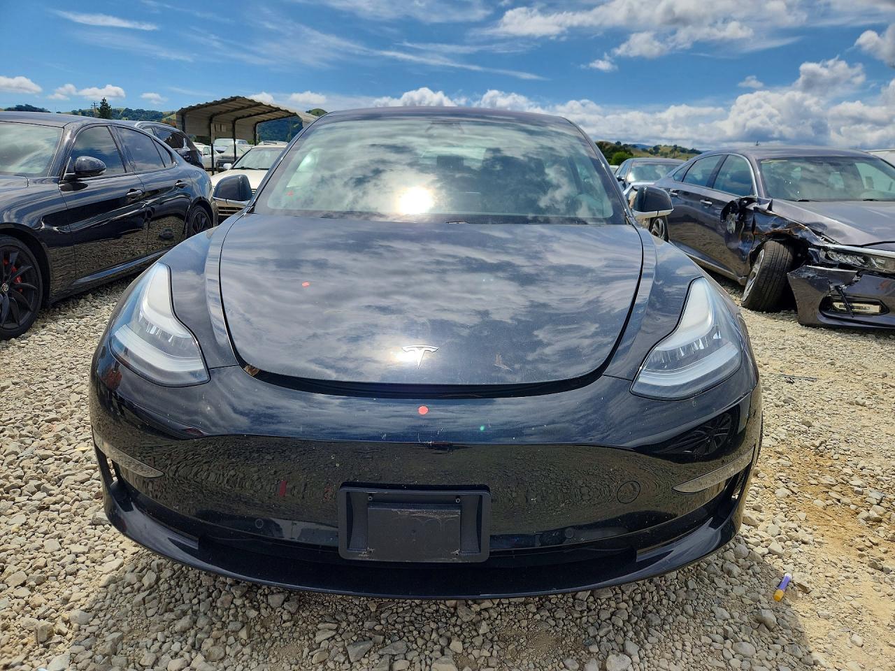 2019 TESLA MODEL 3 photo 13
