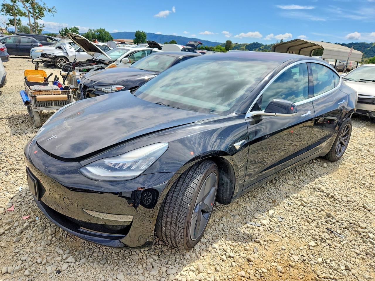 2019 TESLA MODEL 3
