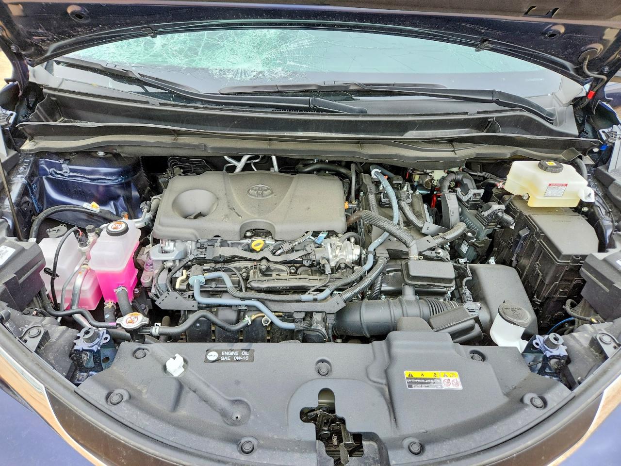 2025 TOYOTA SIENNA XLE 8-PASSENGER photo 12
