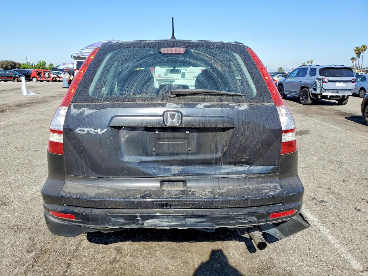 2010 HONDA CR-V LX photo 6