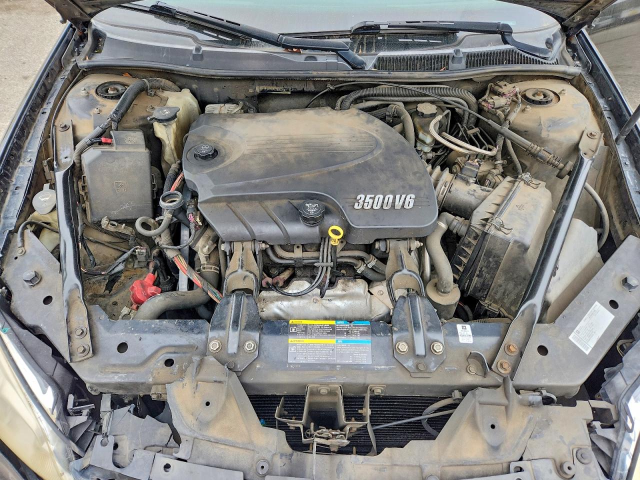 2010 CHEVROLET IMPALA LS photo 11
