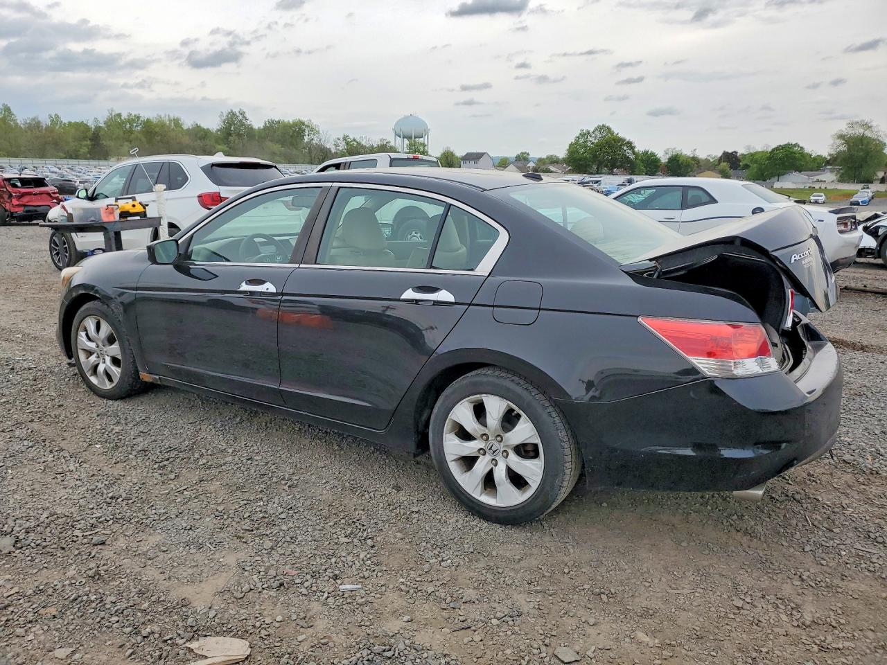 2010 HONDA ACCORD EXL photo 3