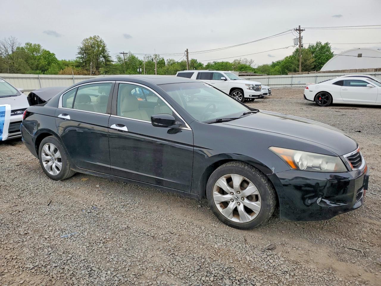 2010 HONDA ACCORD EXL photo 7