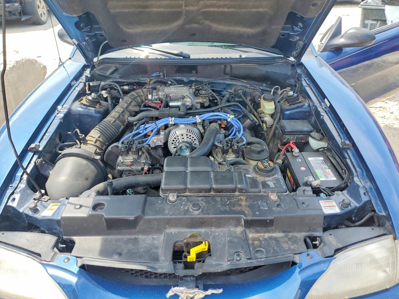 1998 FORD MUSTANG GT photo 11