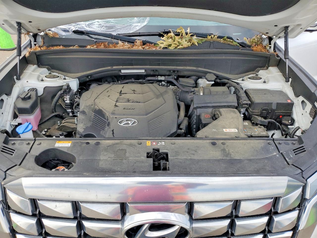 2024 HYUNDAI PALISADE CALLIGRAPHY photo 34