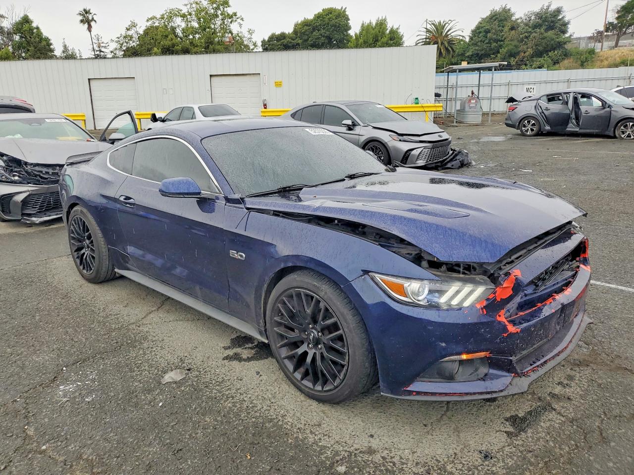 2015 FORD MUSTANG 50TH ANNIVERSARY photo 10