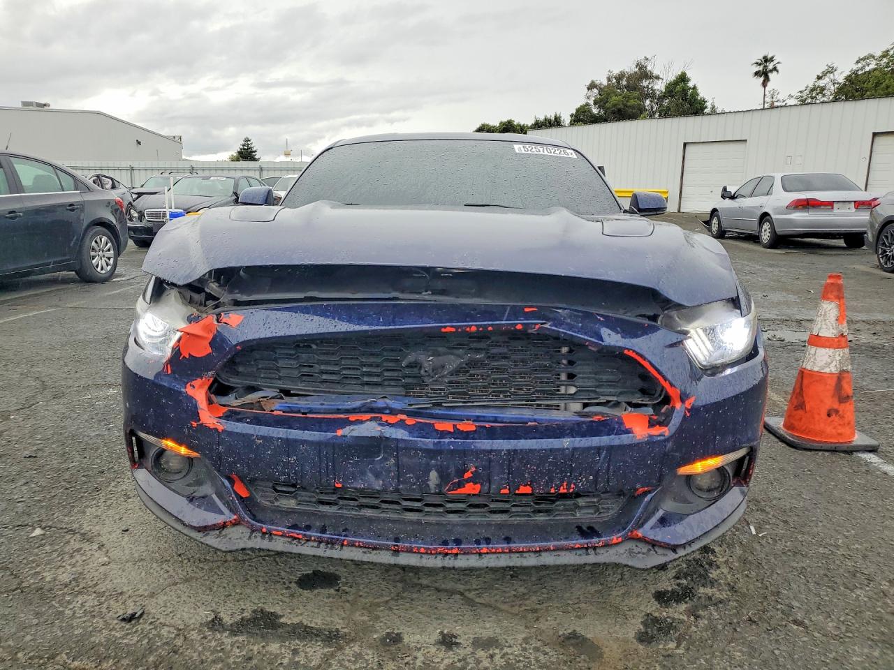 2015 FORD MUSTANG 50TH ANNIVERSARY photo 13
