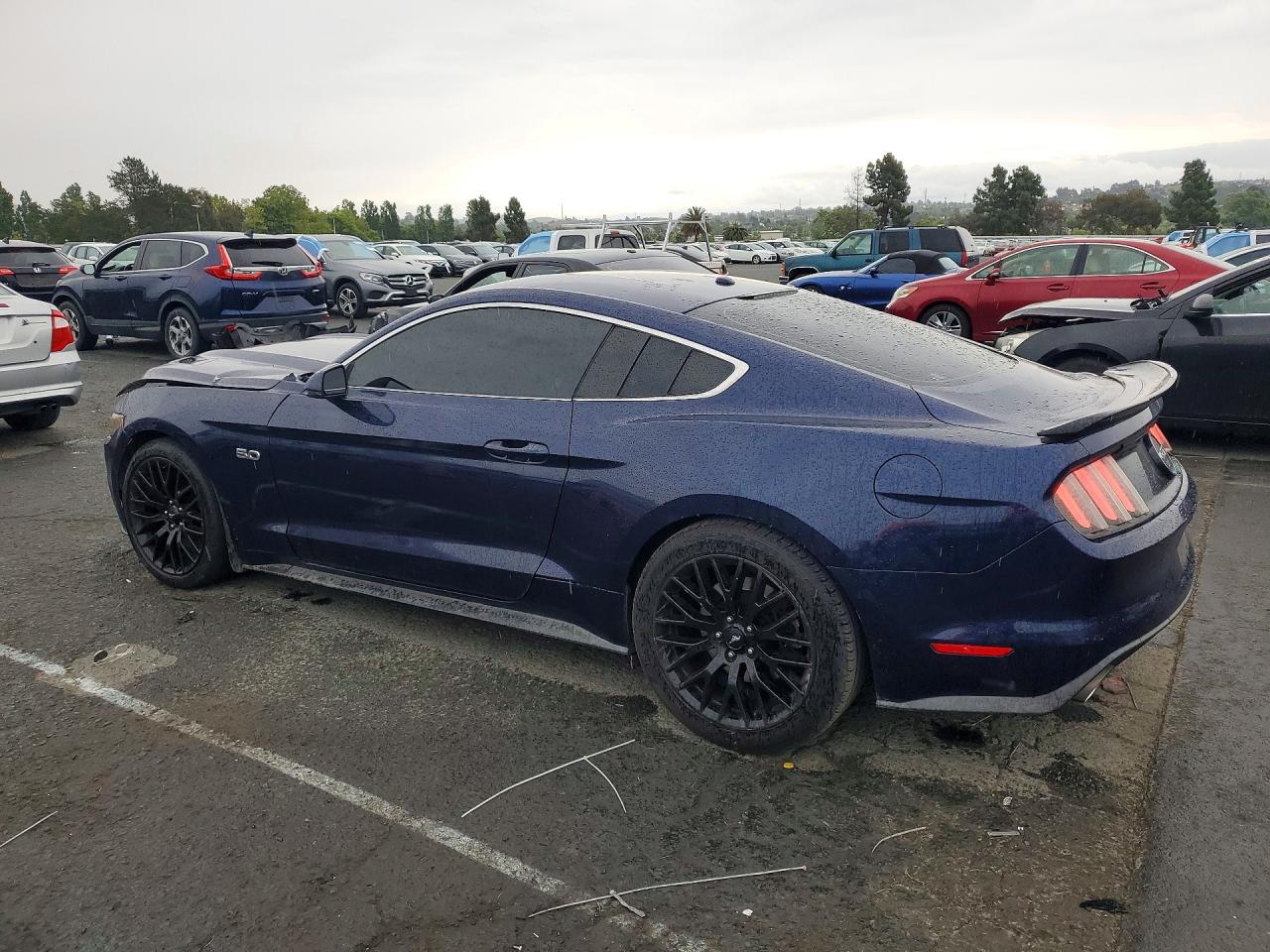 2015 FORD MUSTANG 50TH ANNIVERSARY photo 4