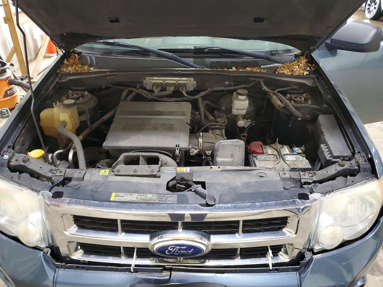 2010 FORD ESCAPE XLT photo 23