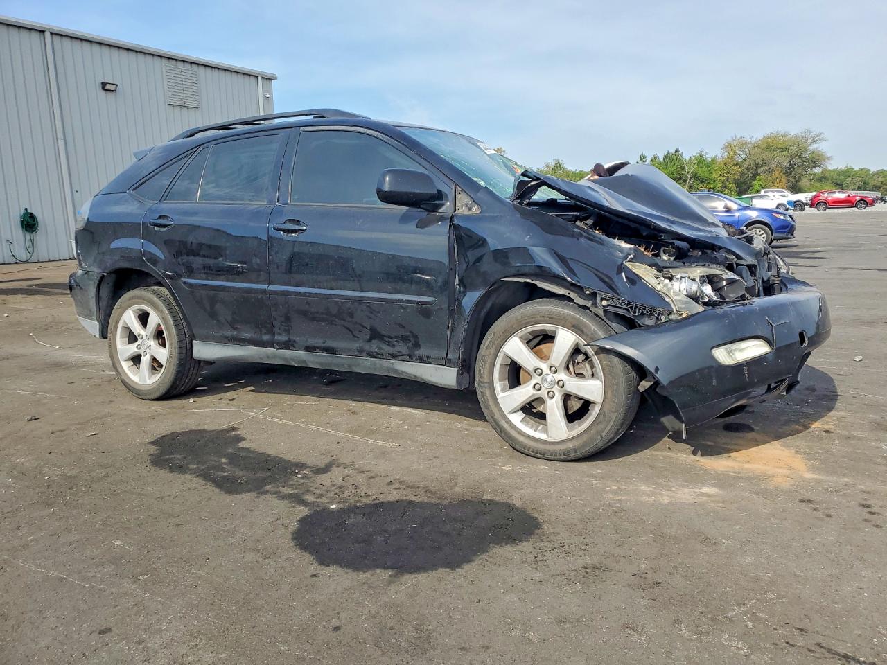 2006 LEXUS RX 330 photo 10