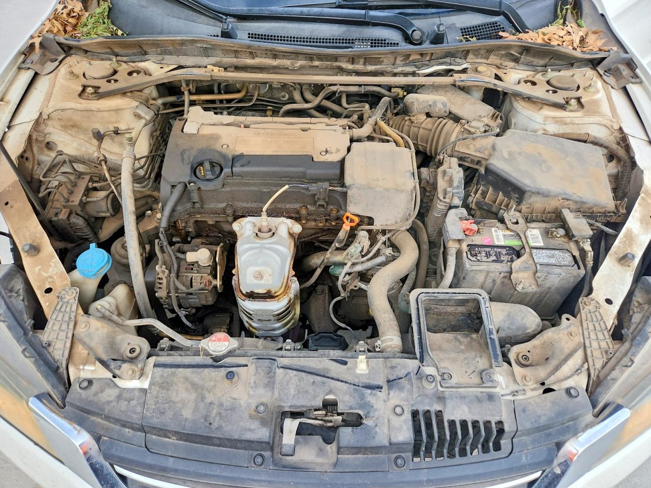 2015 HONDA ACCORD EX photo 11