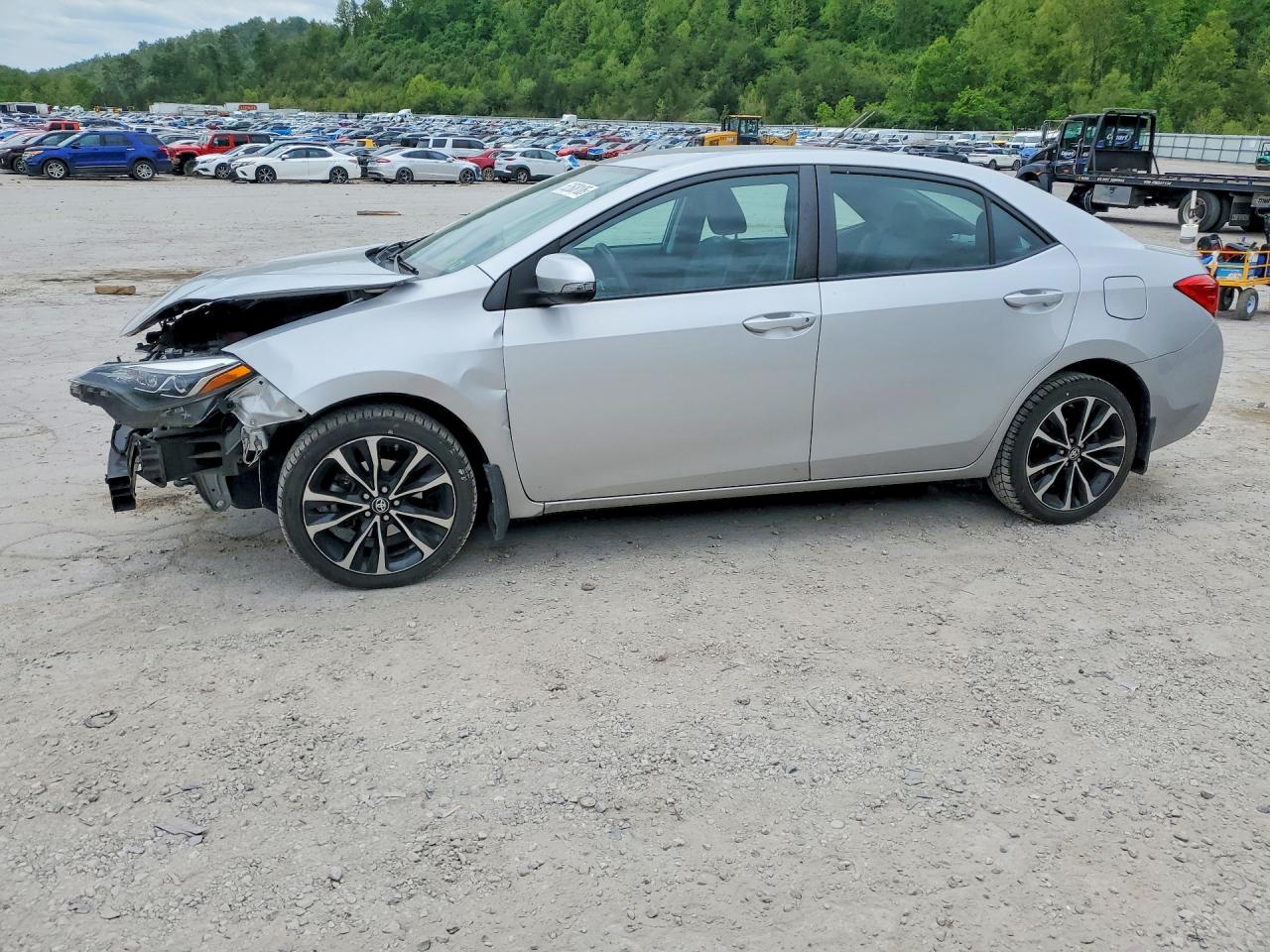 2019 TOYOTA COROLLA