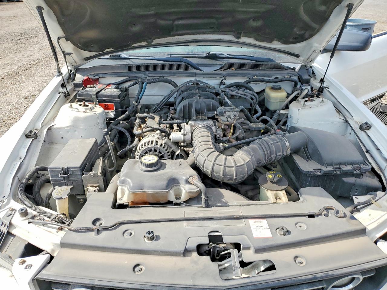 2008 FORD MUSTANG photo 31
