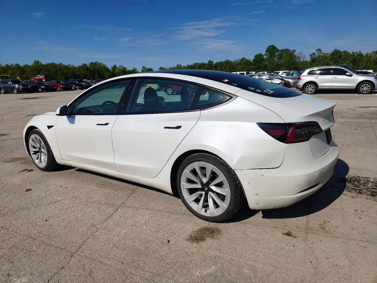 2021 TESLA MODEL 3 photo 3