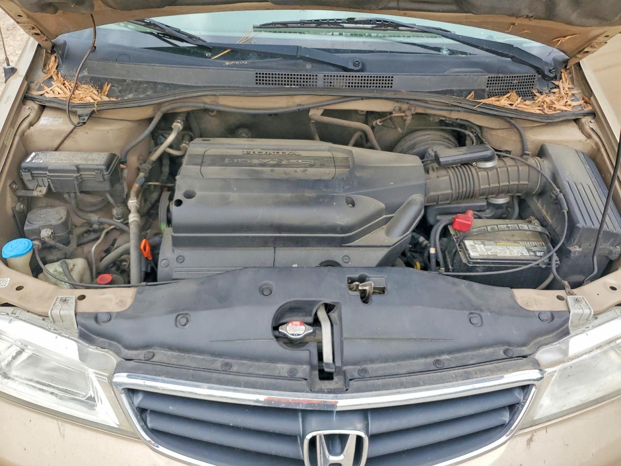 2002 HONDA ODYSSEY LX photo 12