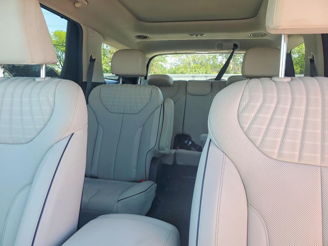 2024 HYUNDAI PALISADE LIMITED photo 19