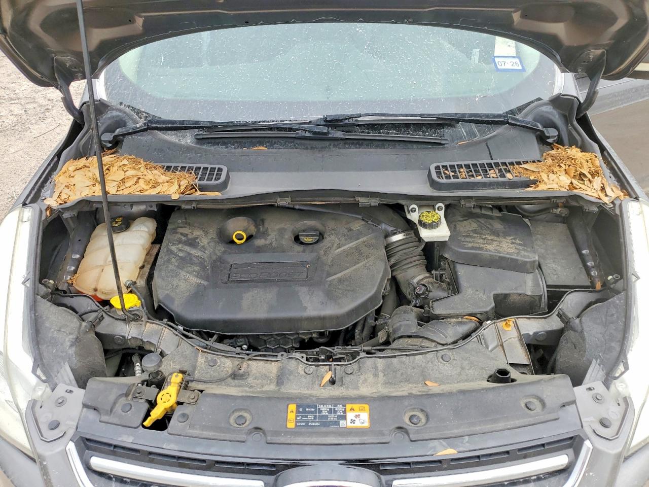 2014 FORD ESCAPE TITANIUM photo 23