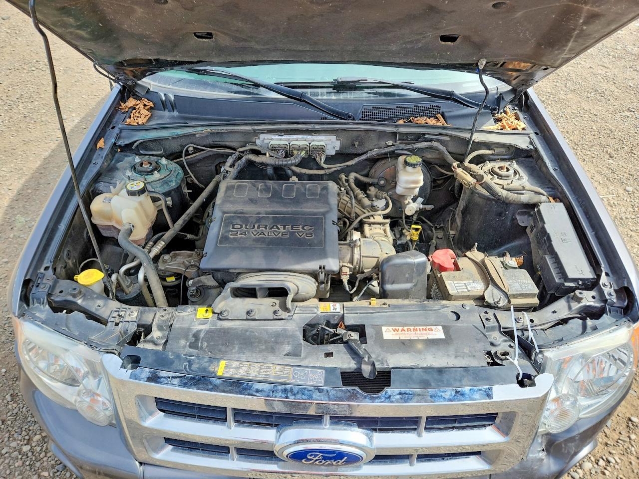2012 FORD ESCAPE XLT photo 12