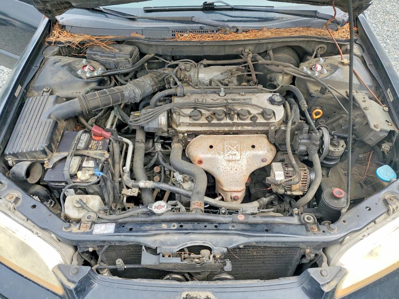 1999 HONDA ACCORD LX photo 21